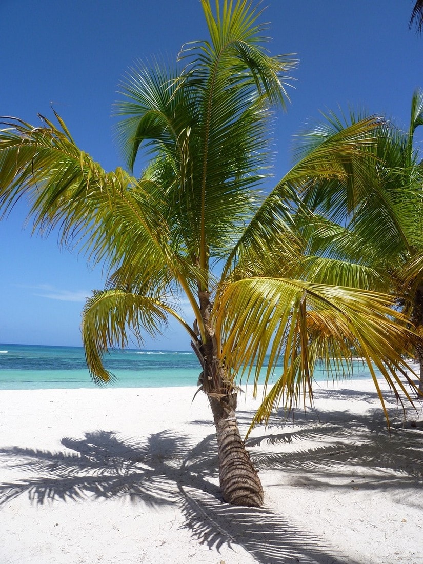 Najpiękniejsze wyspy na Karaibach - Curacao